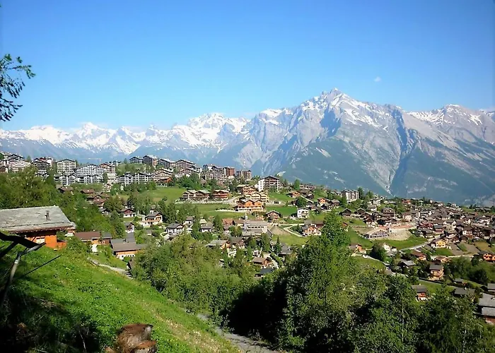 Pracondu 1 107 - Outdoor & Fun Charming Διαμέρισμα Nendaz